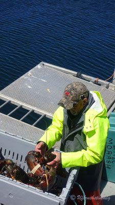 Ein Hummer-Fischer bei Peggy's Cove - immer gerne zu Erklärungen bereit