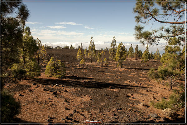 Tenerife 2021