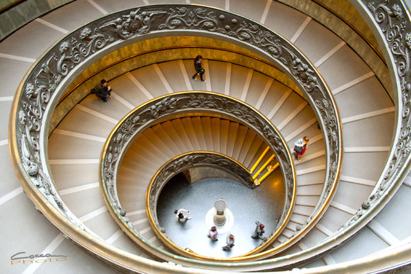 ROMA 2014