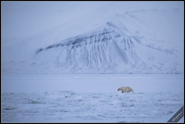 Svalbard 2019