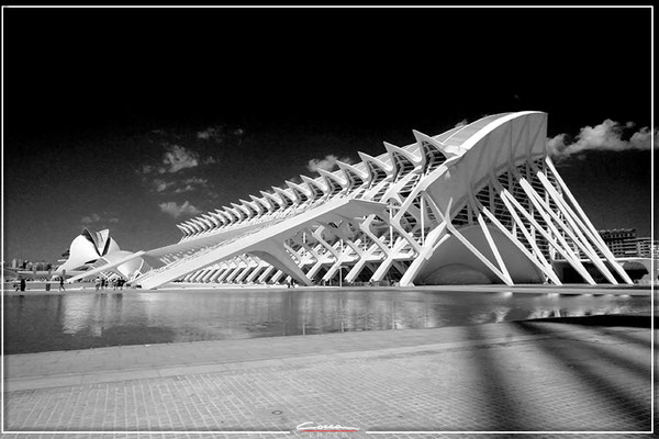 Valencia 20216