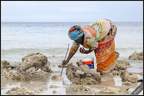 Zanzibar 2019