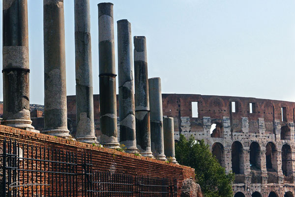 ROMA 2014
