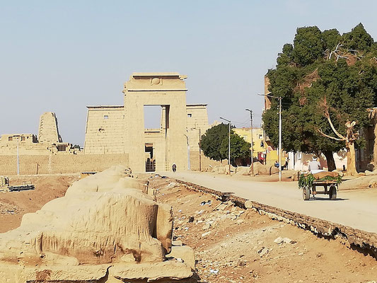 esta será la entrada al templo de Karnak desde la avenida de las esfinges