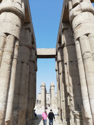 Columnas terminadas en forma de loto en el templo de Luxor