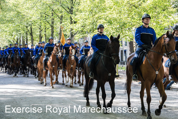 Oefening Bereden Brigade Koninklijke Marechaussee voor Prinsjesdag - 15 Sep 2018