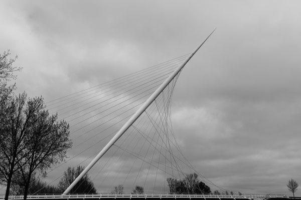 Calatrava brug De Harp - Nieuw Vennep - april