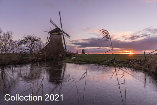 Collection January 2021