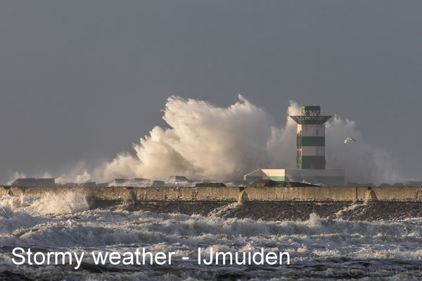 Stormy weather at zuidpier IJmuiden - 08 Dec 2018