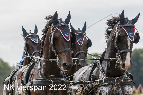 NK vierspan 2022 - za 30 July 2022