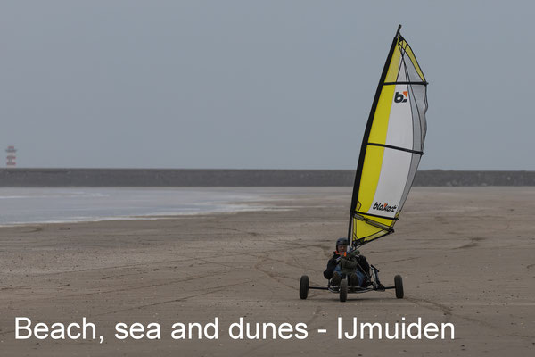 Strand, zee en duinen - 09 March 2019
