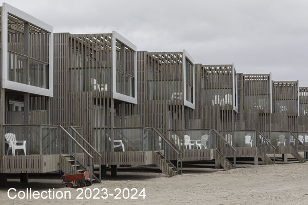 Collection 2023-2024