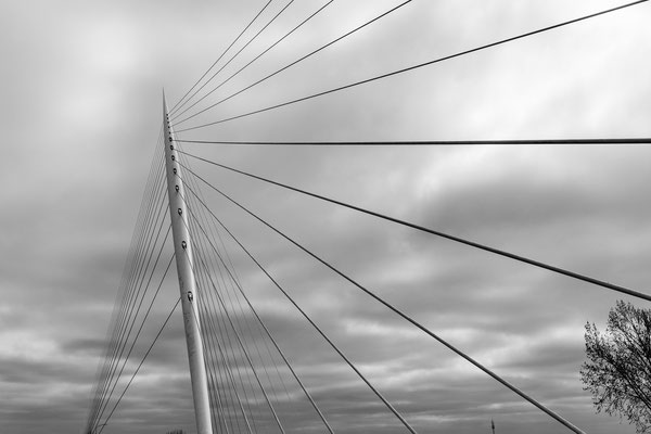 Calatrava brug De Harp - Nieuw Vennep - april