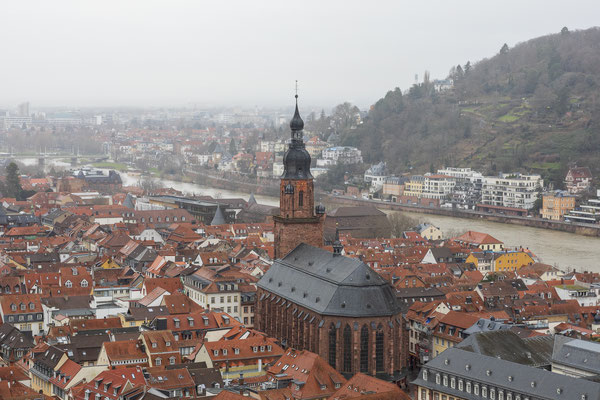[14] City view Heidelberg