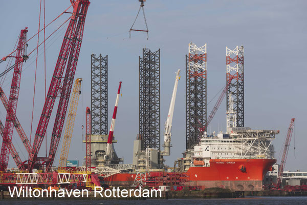 Wiltonhaven Rotterdam - zo 19 nov 2023