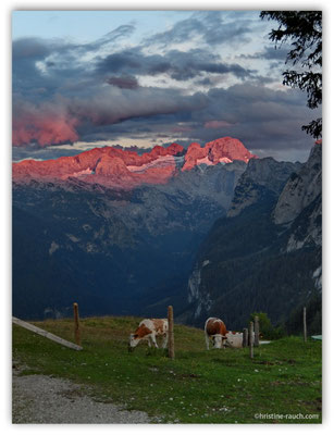 Gosau, Zwieselalm, Gr. Donnerkogel - Christine Rauch Art ...