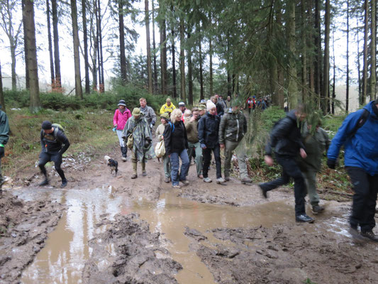 82 Airborne Marche à Manhay (B) 20-02-2016