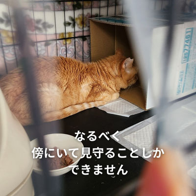 傍らにいて見守ることしかできません