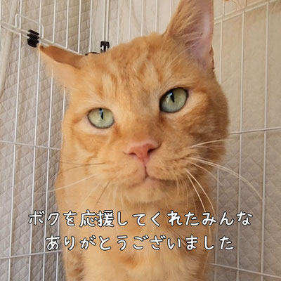 僕を応援してくれたみんな　ありがとうございました