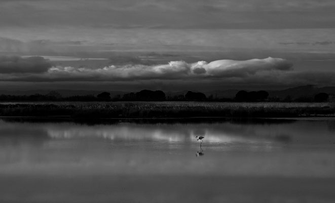 Thierry Biguet