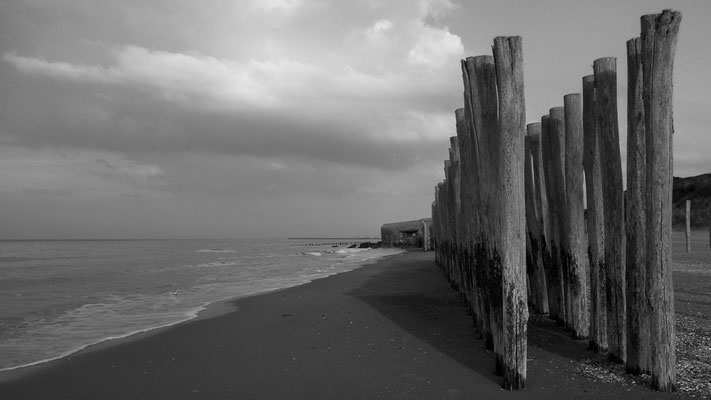 Nelly Blagojevic