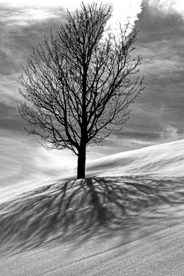 Claudine Bourdon