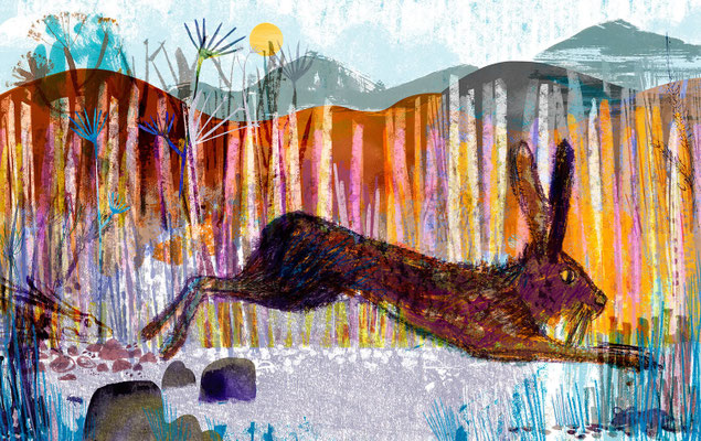 Jill Calder Illustration - Children's Illustration - "Hiding Hare"
