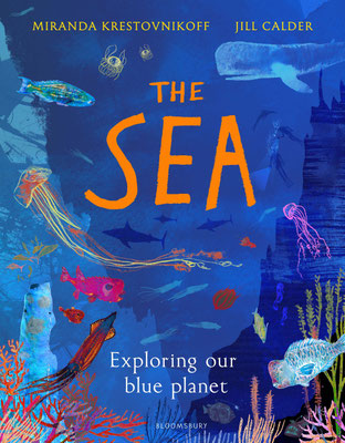 Jill Calder Illustration - Books - "The Sea" by Miranda Krestovnikoff - Bloomsbury