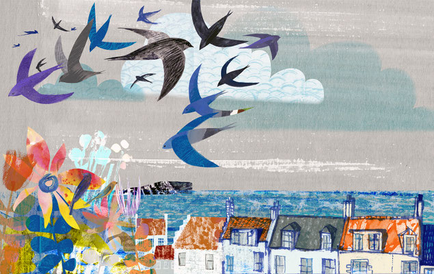 Jill Calder Illustration - Children's Illustration - "Swifts: How Deft We Are"