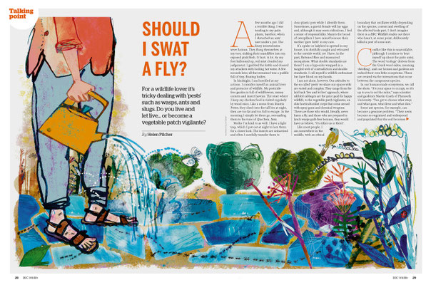Jill Calder Illustration - General Illustration - BBC Wildlife Magazine