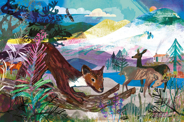 Jill Calder Illustration - Books - "Scotland: The People, The Places, The Stories" by  Chae Strathie - Scottish Wildlife - Scholastic