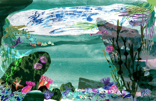 Jill Calder Illustration - Books - "The Sea" by Miranda Krestovnikoff - Bloomsbury