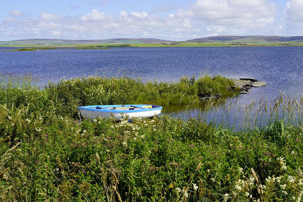Orkney Inseln, Ring of Brodgar