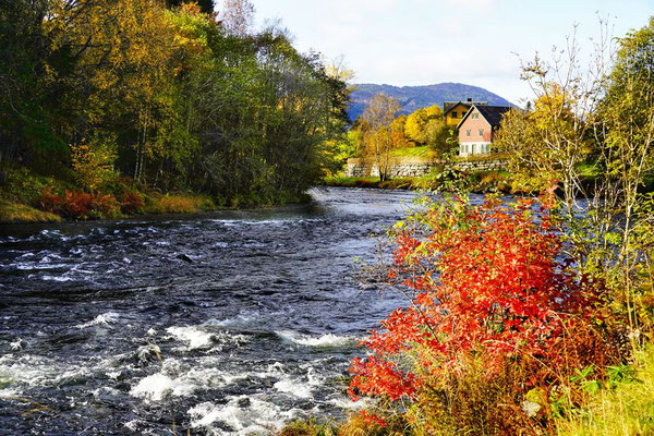 Nordfjordeid, Eidselva