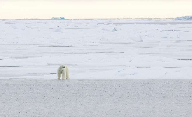 200 km ten Noorden van Svalbard