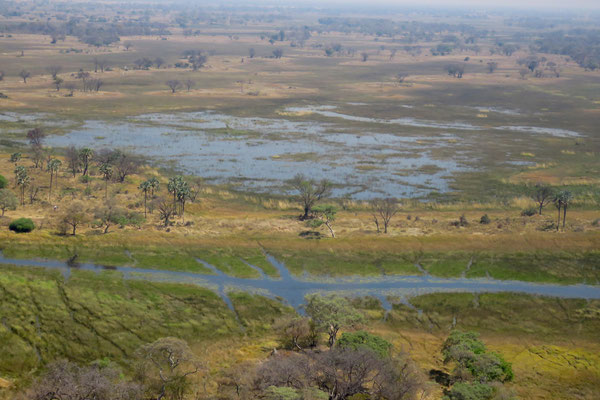 Okavango delta