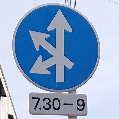 奈良県奈良市にある異形矢印標識．