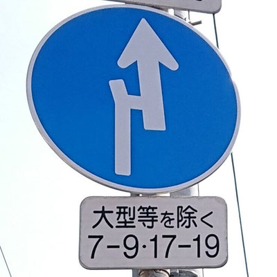 和歌山県和歌山市にある異形矢印標識．