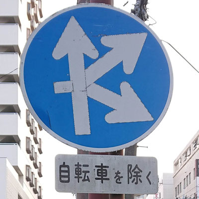 滋賀県守山市にある異形矢印標識．