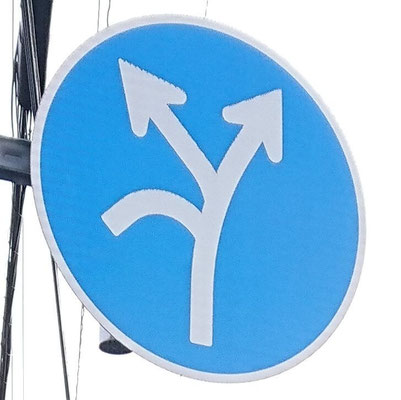 滋賀県米原市にある異形矢印標識．