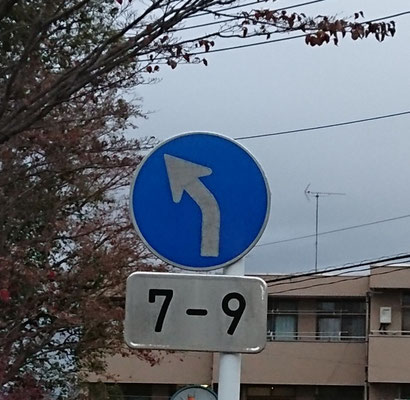 川崎市高津区の異形矢印標識 - 東京地歴探訪｜東京に限らず全国へ