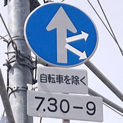 奈良県奈良市にある異形矢印標識．インパクトすごいけど合成じゃないです、存在します．