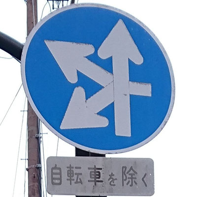 滋賀県守山市にある異形矢印標識．