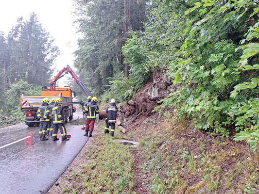 29.8. Bäume auf Straße in Hörhag Richtung Obermühl