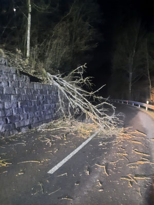 Einsatz Baum über Straße