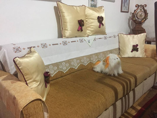 Rooms Emiliano, Kruja