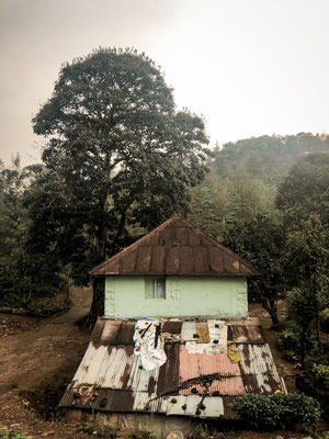 Thekkady, Indien