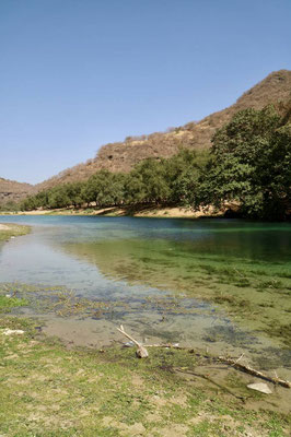 Wadi Darbat, Oman