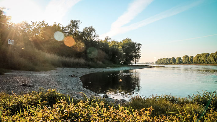 Rheinaue, Köln