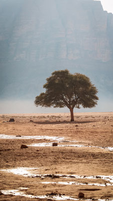 Wadi Rum, Jordanien 